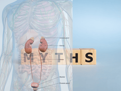 Top Adrenal Health Myths: What Floridians Need to Know | Florida Endocrinology