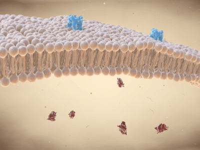 Latest Treatments for Lipid Disorders: What’s New in 2025 | Florida Endocrinology