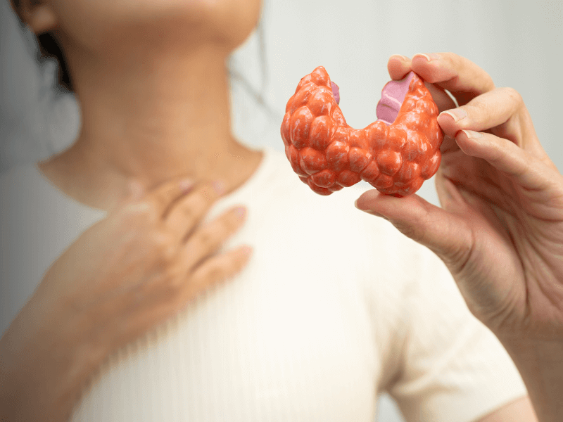 The Impact of Endocrine Disruptors on Health | Florida Endocrinology