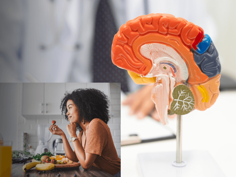Leptin Resistance: Why Your Brain Thinks You’re Starving | Florida Endocrinology