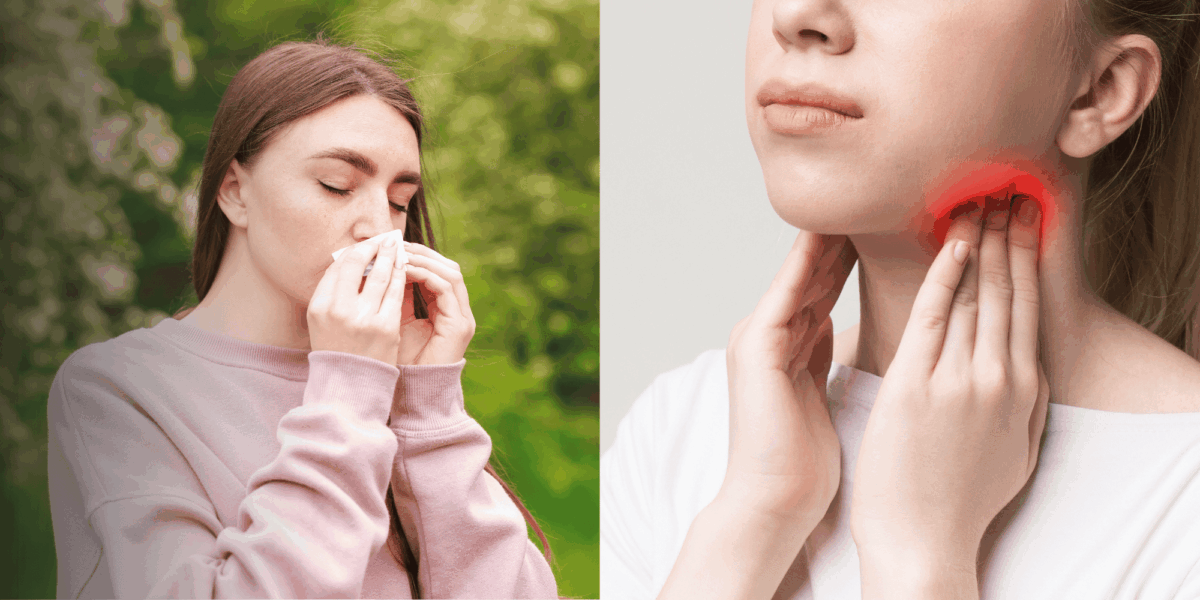 Navigating Seasonal Allergies and Thyroid Health Expert Guides 2026 | Tampa Bay Endocrine