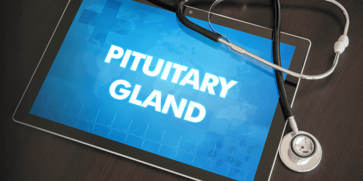 How Pituitary Gland Problems Affect Your Hormones | Florida Endocrinology